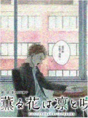 幕后记录 新片素材包归档柜